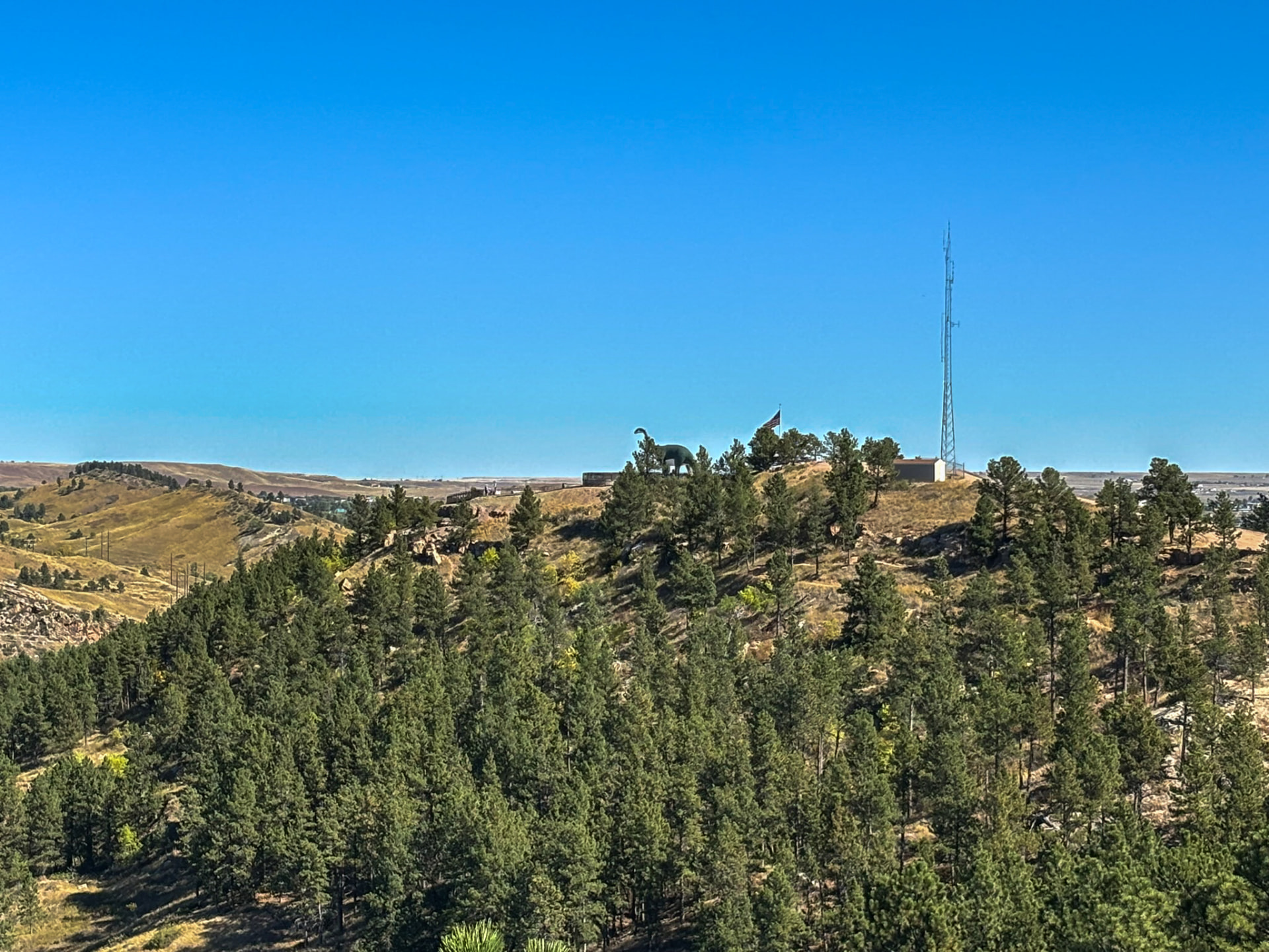 The ridge along Skyline Drive in Rapid City, with the Dinosaur Park brontosaurus and a flagpole above ponderosa pine.