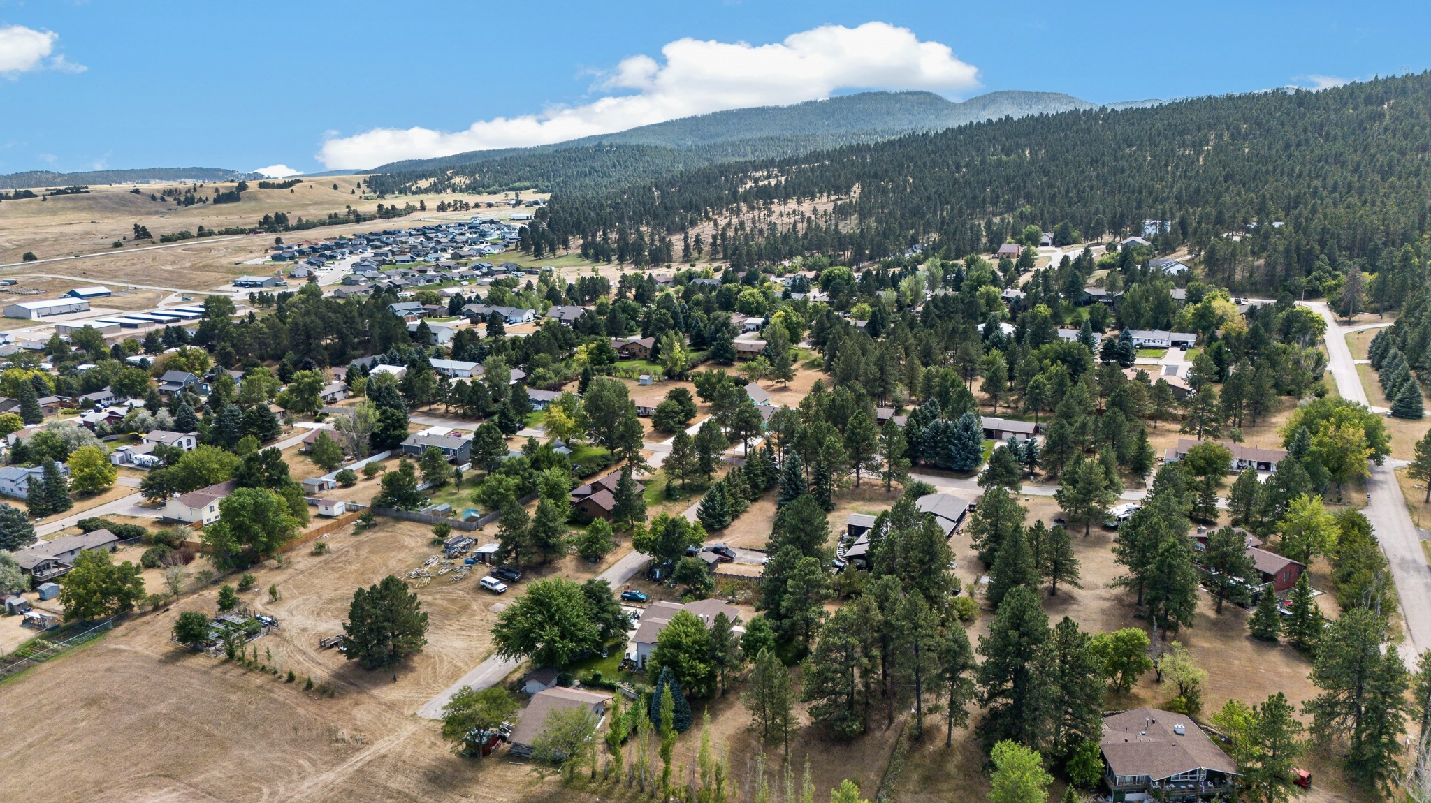 Established homes at the mouth of Vanocker Canyon in Sturgis, with wooded slopes and newer Davenport Ranch visible beyond.