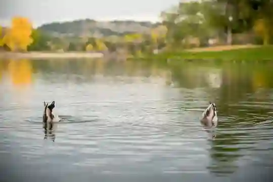 Canyon Lake in Rapid City, South Dakota.
