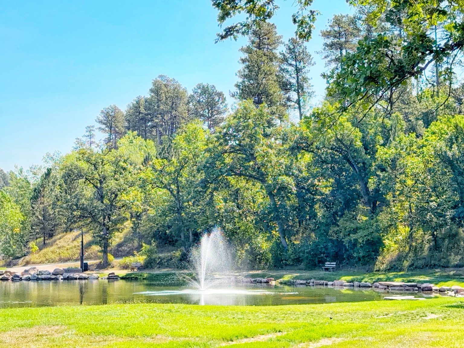A park pond and fountain framed by mature trees in Sturgis