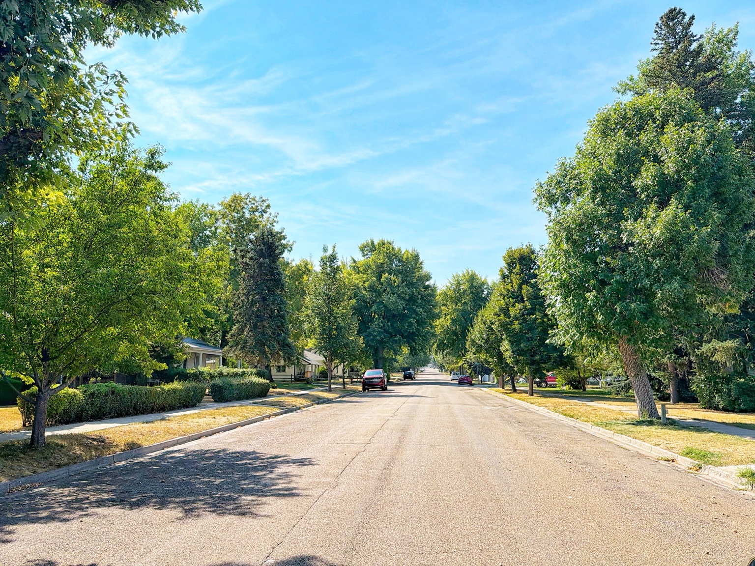 A tree-lined residential street in Sturgis
