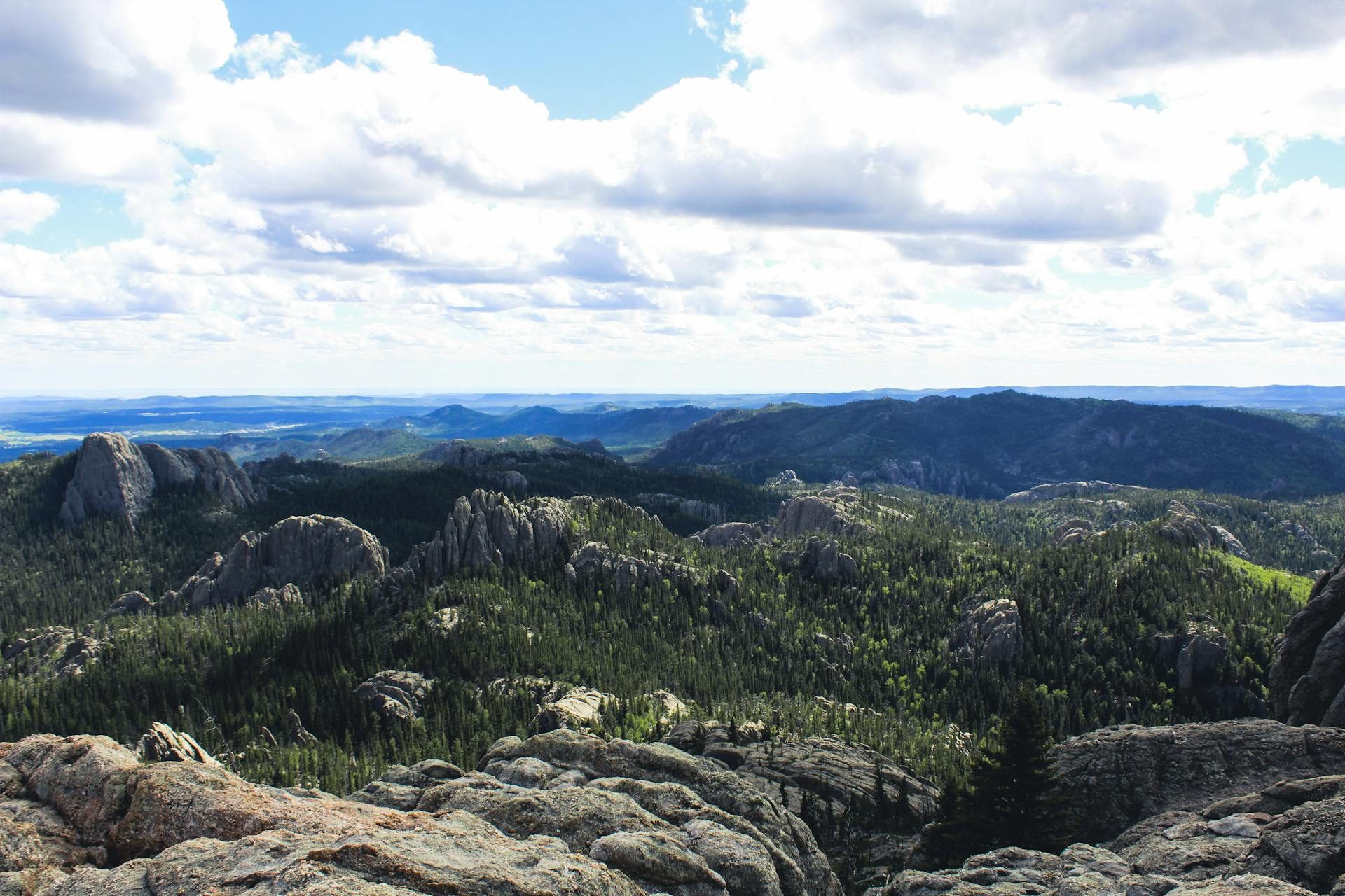 Cathedral Spires granite formations in the Black Hills near Custer, South Dakota