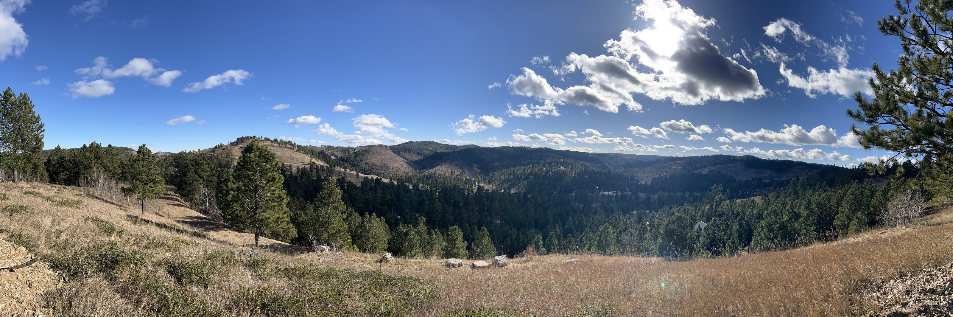 Forested Black Hills surrounding Deadwood, South Dakota